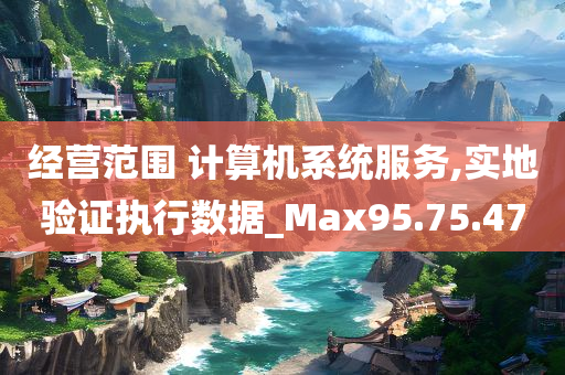 经营范围 计算机系统服务,实地验证执行数据_Max95.75.47