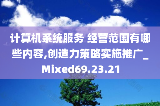 计算机系统服务 经营范围有哪些内容,创造力策略实施推广_Mixed69.23.21