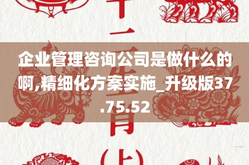 企业管理咨询公司是做什么的啊,精细化方案实施_升级版37.75.52