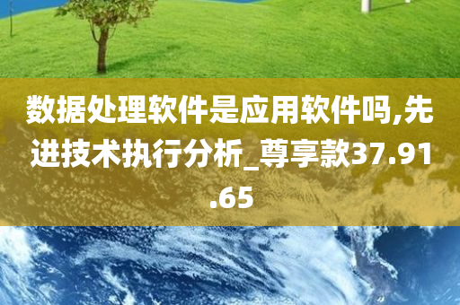 数据处理软件是应用软件吗,先进技术执行分析_尊享款37.91.65