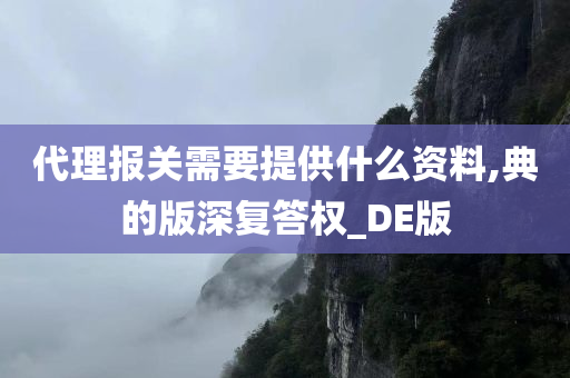 代理报关需要提供什么资料,典的版深复答权_DE版