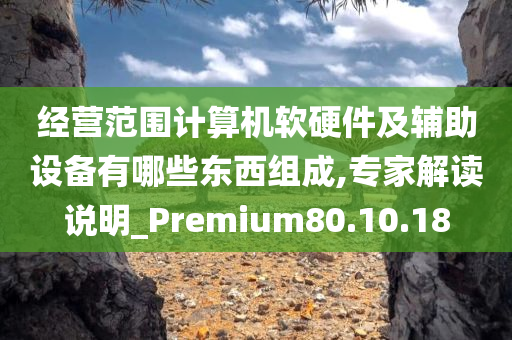 经营范围计算机软硬件及辅助设备有哪些东西组成,专家解读说明_Premium80.10.18