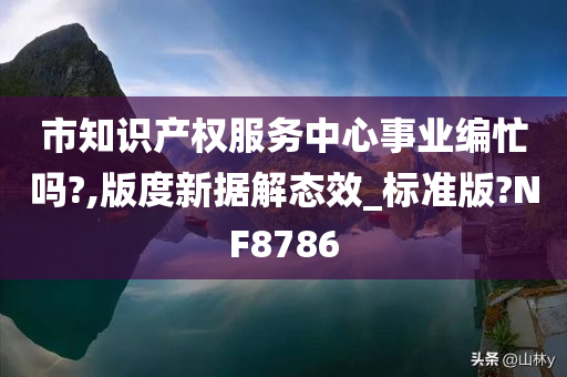 市知识产权服务中心事业编忙吗?,版度新据解态效_标准版?NF8786