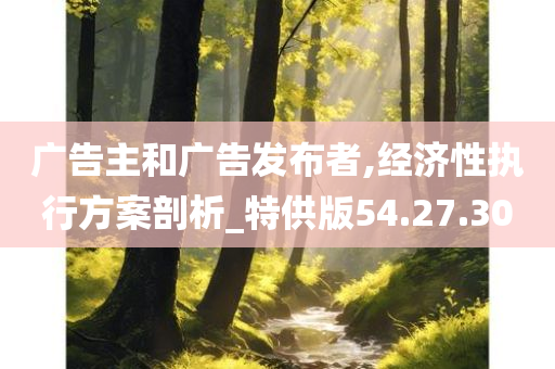 广告主和广告发布者,经济性执行方案剖析_特供版54.27.30