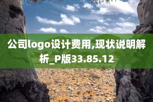 公司logo设计费用,现状说明解析_P版33.85.12