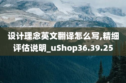 设计理念英文翻译怎么写,精细评估说明_uShop36.39.25