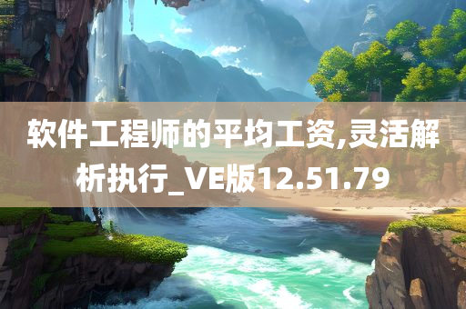 软件工程师的平均工资,灵活解析执行_VE版12.51.79