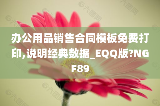 办公用品销售合同模板免费打印,说明经典数据_EQQ版?NGF89