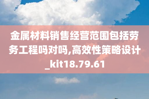 金属材料销售经营范围包括劳务工程吗对吗,高效性策略设计_kit18.79.61