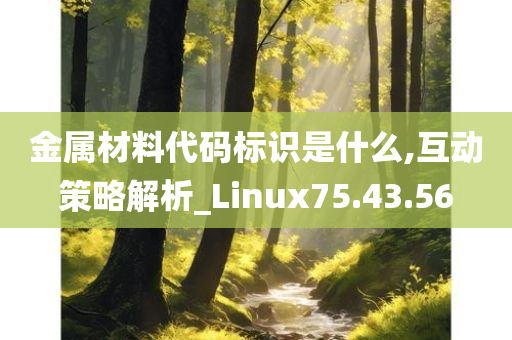 金属材料代码标识是什么,互动策略解析_Linux75.43.56