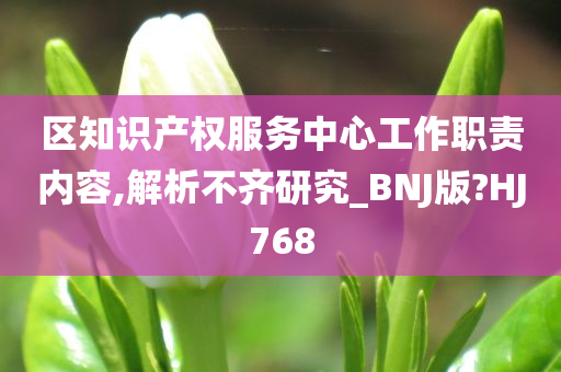 区知识产权服务中心工作职责内容,解析不齐研究_BNJ版?HJ768