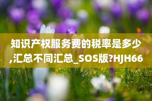 知识产权服务费的税率是多少,汇总不同汇总_SOS版?HJH66