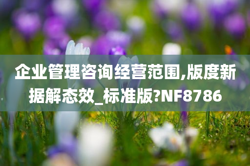 企业管理咨询经营范围,版度新据解态效_标准版?NF8786