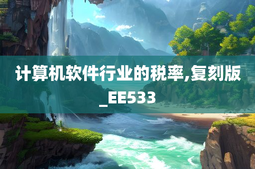 计算机软件行业的税率,复刻版_EE533