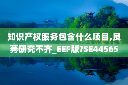 知识产权服务包含什么项目,良莠研究不齐_EEF版?SE44565