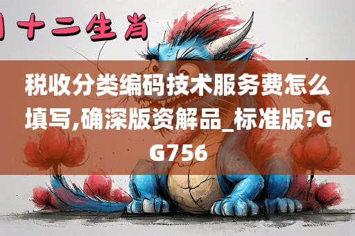 税收分类编码技术服务费怎么填写,确深版资解品_标准版?GG756