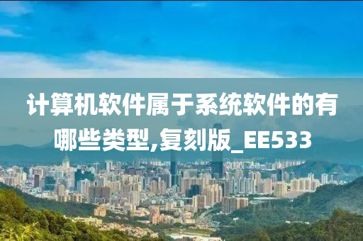 计算机软件属于系统软件的有哪些类型,复刻版_EE533