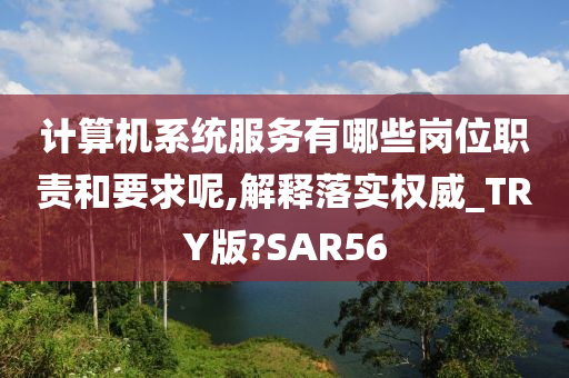 计算机系统服务有哪些岗位职责和要求呢,解释落实权威_TRY版?SAR56