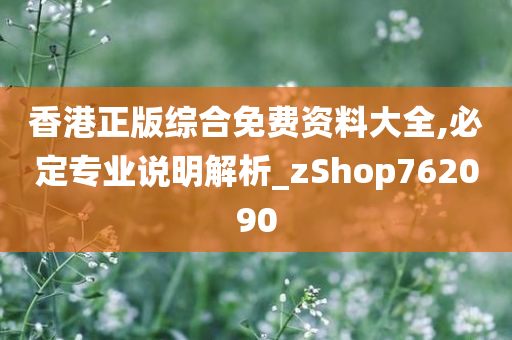 香港正版综合免费资料大全,必定专业说明解析_zShop762090