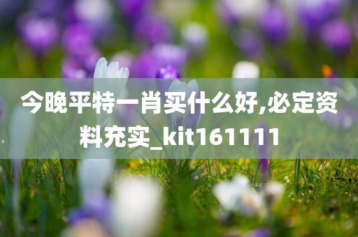 今晚平特一肖买什么好,必定资料充实_kit161111