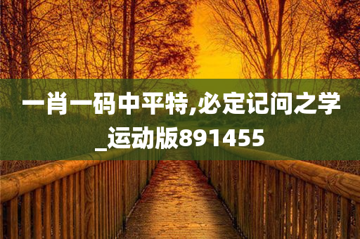 一肖一码中平特,必定记问之学_运动版891455