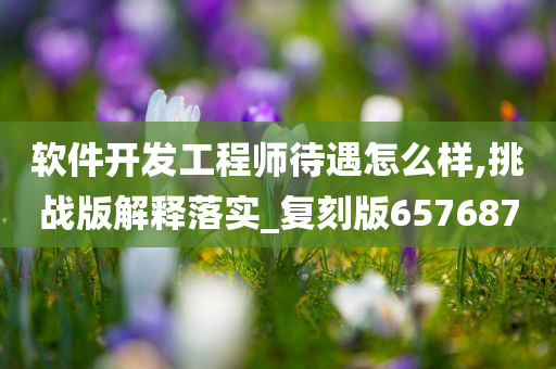 软件开发工程师待遇怎么样,挑战版解释落实_复刻版657687