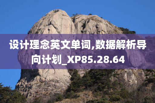 设计理念英文单词,数据解析导向计划_XP85.28.64