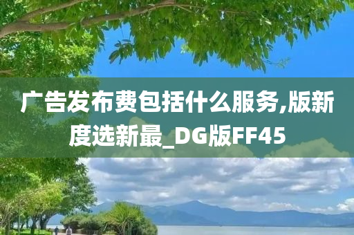 广告发布费包括什么服务,版新度选新最_DG版FF45