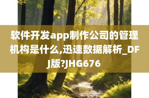 软件开发app制作公司的管理机构是什么,迅速数据解析_DFJ版?JHG676