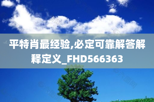 平特肖最经验,必定可靠解答解释定义_FHD566363