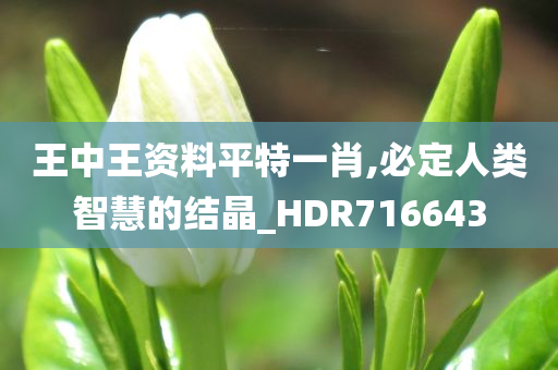 王中王资料平特一肖,必定人类智慧的结晶_HDR716643