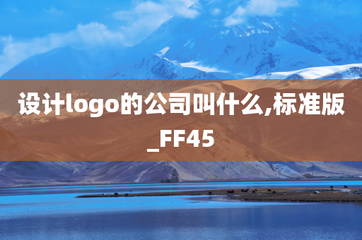 设计logo的公司叫什么,标准版_FF45