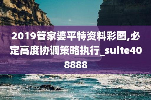 2019管家婆平特资料彩图,必定高度协调策略执行_suite408888