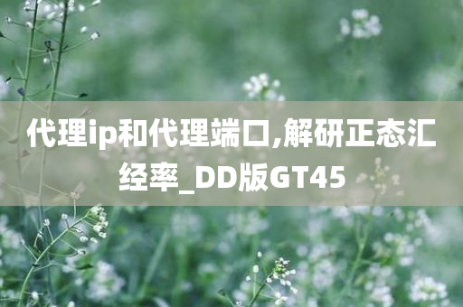 代理ip和代理端口,解研正态汇经率_DD版GT45