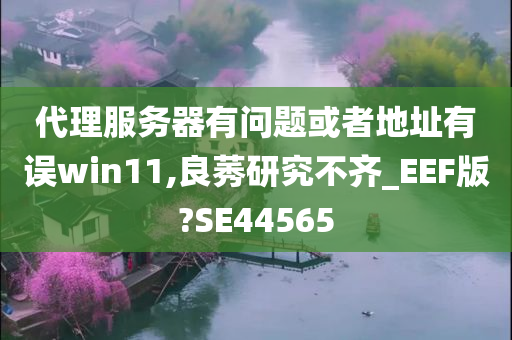 代理服务器有问题或者地址有误win11,良莠研究不齐_EEF版?SE44565