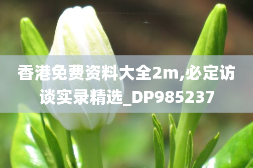 香港免费资料大全2m,必定访谈实录精选_DP985237