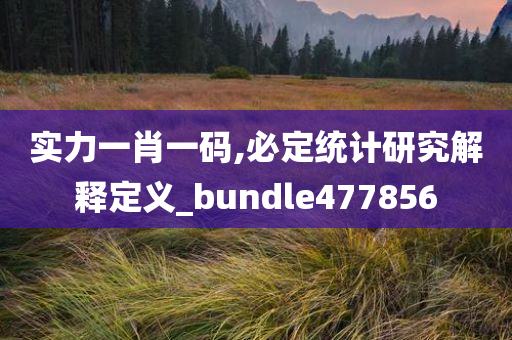 实力一肖一码,必定统计研究解释定义_bundle477856