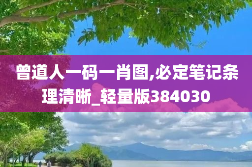 曾道人一码一肖图,必定笔记条理清晰_轻量版384030