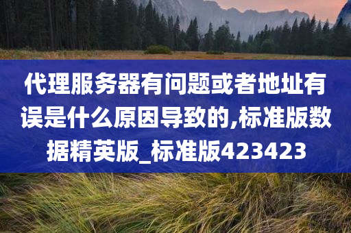 代理服务器有问题或者地址有误是什么原因导致的,标准版数据精英版_标准版423423