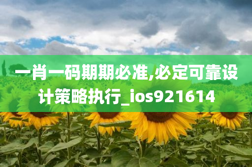 一肖一码期期必准,必定可靠设计策略执行_ios921614