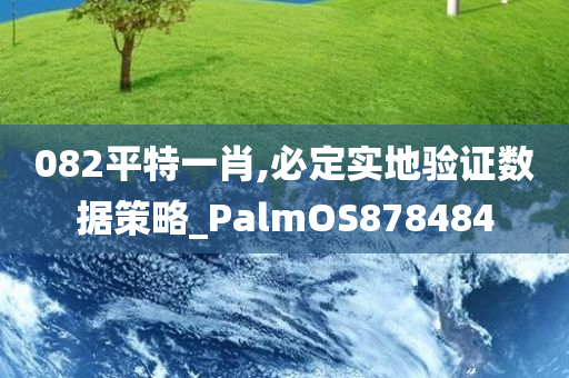 082平特一肖,必定实地验证数据策略_PalmOS878484