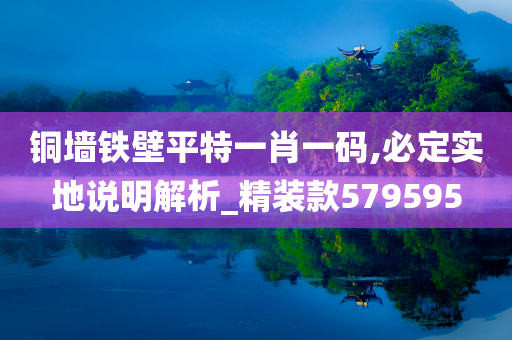 铜墙铁壁平特一肖一码,必定实地说明解析_精装款579595