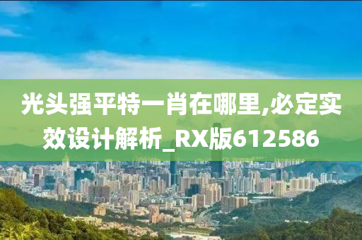 光头强平特一肖在哪里,必定实效设计解析_RX版612586