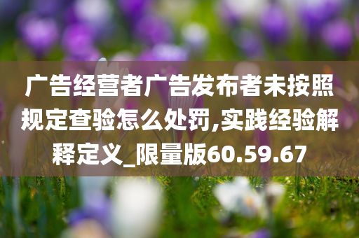 广告经营者广告发布者未按照规定查验怎么处罚,实践经验解释定义_限量版60.59.67