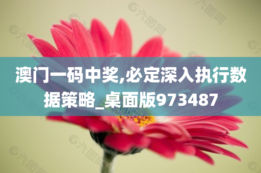 澳门一码中奖,必定深入执行数据策略_桌面版973487