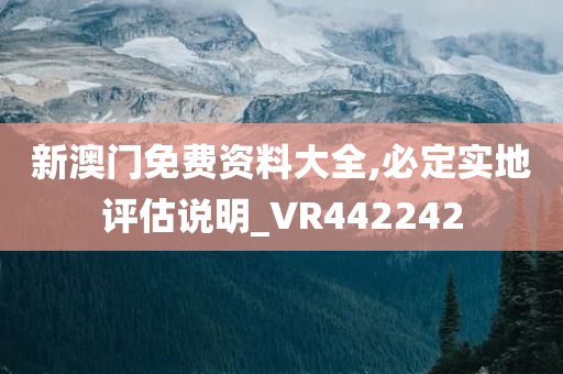 新澳门免费资料大全,必定实地评估说明_VR442242