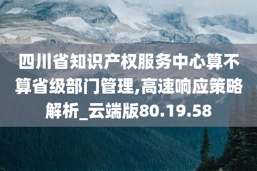 四川省知识产权服务中心算不算省级部门管理,高速响应策略解析_云端版80.19.58