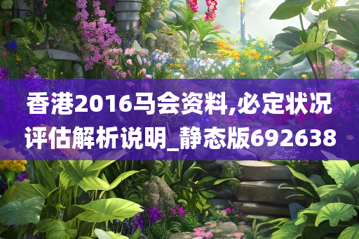 香港2016马会资料,必定状况评估解析说明_静态版692638