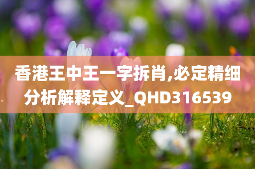 香港王中王一字拆肖,必定精细分析解释定义_QHD316539