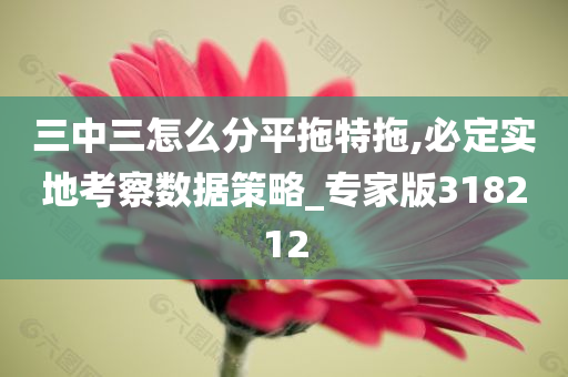 三中三怎么分平拖特拖,必定实地考察数据策略_专家版318212